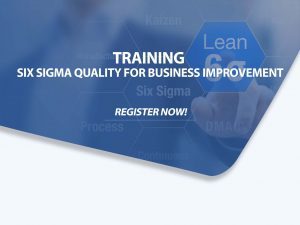 Six Sigma Quality for Business Improvement